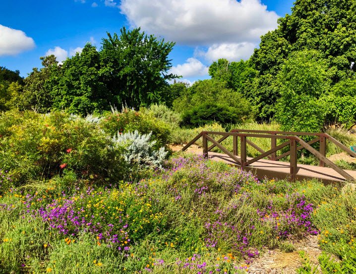 Los Angeles County Arboretum & Botanic Garden, United States